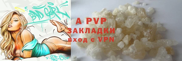 гидра Ельня