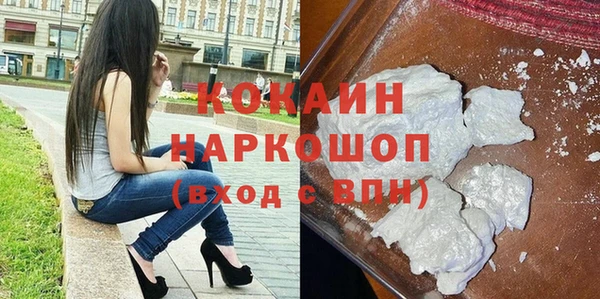 гидра Ельня