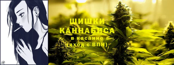 a pvp Елабуга