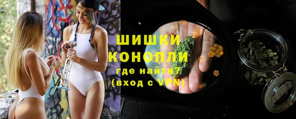 гидра Ельня