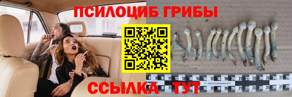Псилоцибиновые грибы MAGIC MUSHROOMS Большой Камень