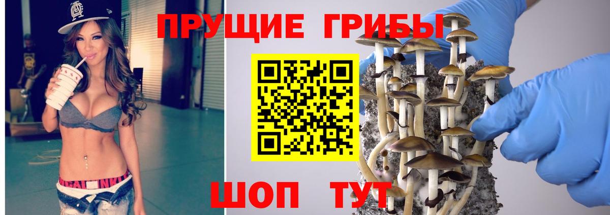 Галлюциногенные грибы GOLDEN TEACHER  Вход с VPN  Большой Камень 